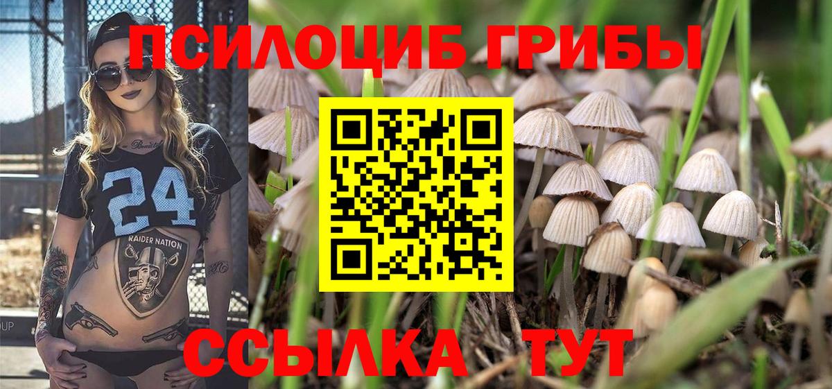 Псилоцибиновые грибы Cubensis  закладки  Псилоцибиновые грибы прущие грибы  Людиново  Вход с VPN 